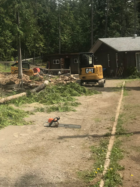 Excavator-and-chainsaw Excavator-and-chainsaw